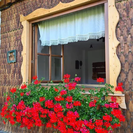 Casa Muchia Lui Girnita Holiday home *