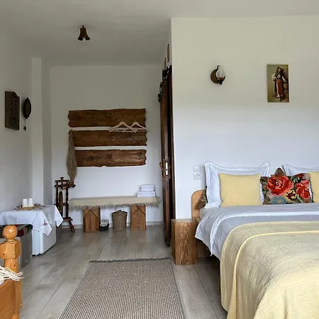 Holiday home Casa Muchia Lui Girnita *
